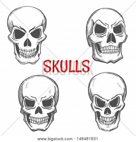 Skulls sketch icons. Skeleton craniums crossbones for halloween decoration, cartoon, label, tattoo, religious decoration elements
