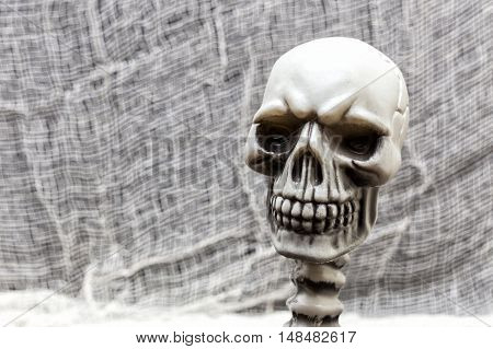 The Malefic Portrait, is a skull's picture
