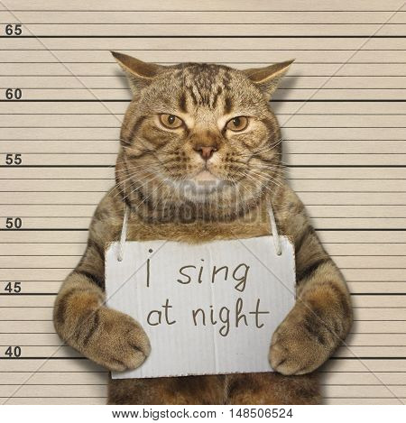 A cat often sings at night. It's songs keep people awake. It was arested for this.