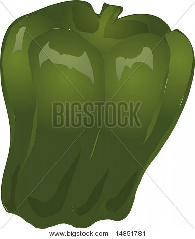Skitse afen peberfrugt. Håndtegnede lineart Se illustration