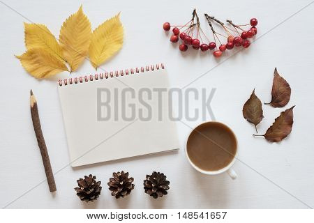 Autumn yellow and brown leaves, small red apples, rennet, cones, a cup of coffee and a notebook on a white board.