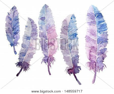 Watercolor feathers set. Colorful feathers with watercolor texture . White background