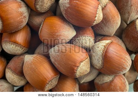 Stack of hazelnuts. Hazelnut background. Healthy eating vegetarian nut food hazelnut.