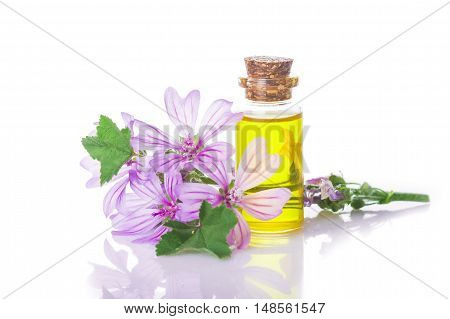 Mallow Malva Extract