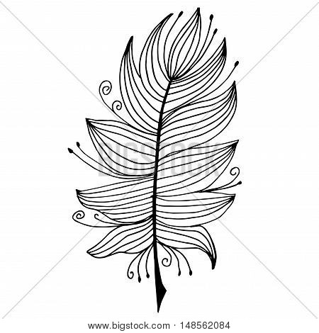 Very high quality original feather with pattern for coloring