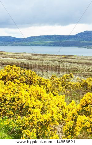 Loch Eriboll