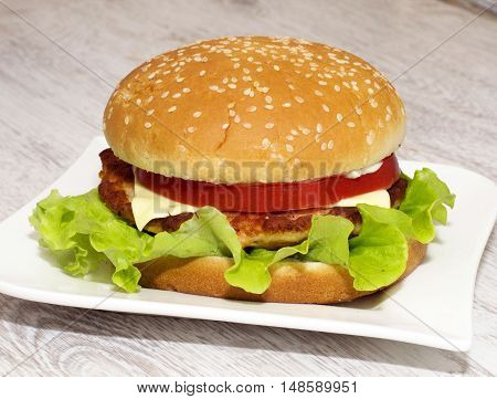 Colorfull Fish Burger with chees and tomato