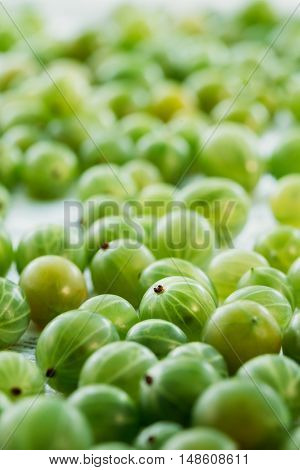 Close View Of Ripe Fresh Gooseberry Berry Small Fruit, Ribes Uva-Crispa Or Ribes Grossularia On The White Tablecloth.
