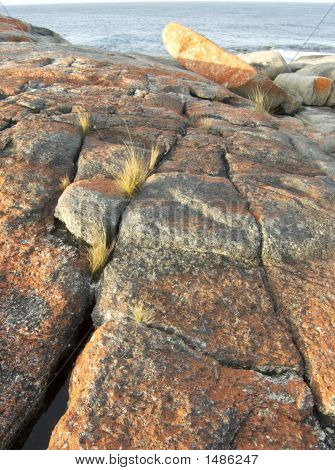 Bicheno, Tasmanie