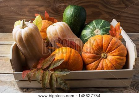 Ripe pumpkins in wooden box. Autumn seasonal vegetables on rustic background