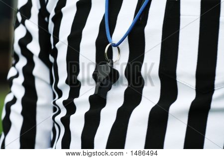 Sędzia sportu