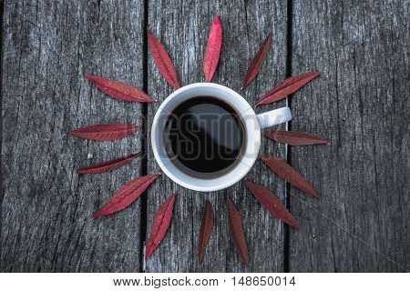 Coffee cup on green leaves background Flat lay.