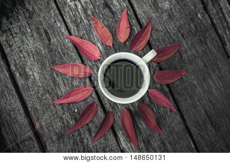 Coffee cup on green leaves background Flat lay.