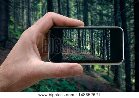 phone in hand man photographing the landscape photos from your phone, Selfie, photographing on the phone, the man photographs the mountain landscape on the phone smartphone side view. carpathians