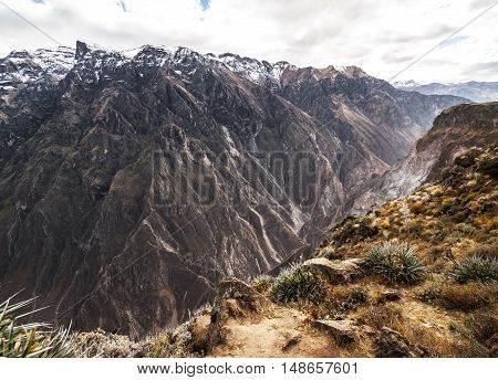 Colca Canyon view from hiking path in Chivay, near Arequipa, Peru