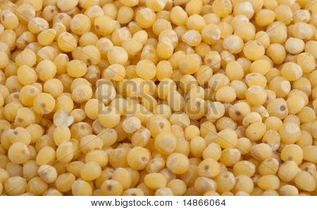 Millet