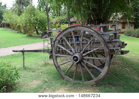 vehicle oxcart carrying flowers for decorating in landscaping park