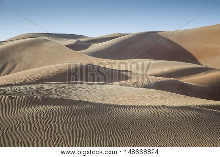Sand dunes in Liwa desert in Aby Dhabi UAE at sunrise