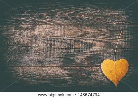 Autumn yellow leaf in the form of heart. Autumn background. Toned image
