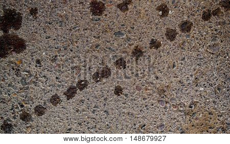 Asphalt, asphalt texture, real asphalt texture background, scabrous asphalt background, seamless asphalt background, closeup, traces on the asphalt