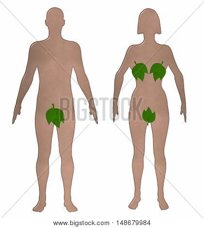 Toilet sign 3D illustration with realistic shaped nude male and female with their private parts covered with leaves on an isolated white background with a clipping path
