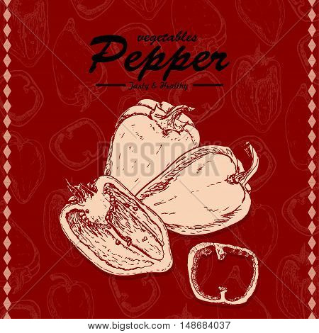 Fresh vegetables sketch background. Vintage hand drawing illustration of pepper. Vector illustration for your design