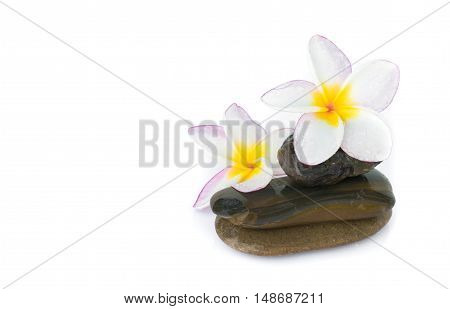 Plumeria flower on stone for spa relax on white background