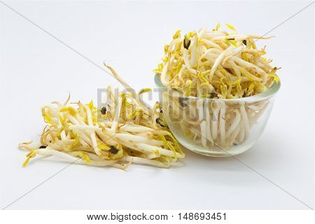 Bean sprouts on glass bowl over white background