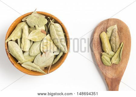 Brazilian Boldo Leaves into a bowl isolated in white background