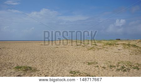 sand dunes of santa maria in kape verde