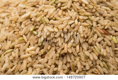 closeup pile of brown rice fullgrain  ingredient