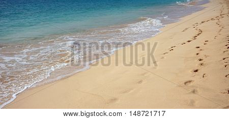 exotic natural beach on sal island in kape verde