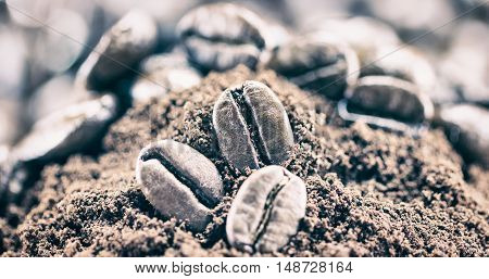Texture Of Coffee Beans That Suitable For Background,backdrop,wallpaper,display And Artwork Design.