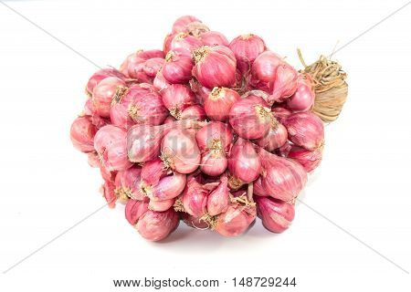 The shallots isolated on a white background.
