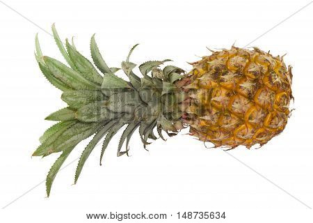 Single yellow Ripe Pineapple on white backgroup
