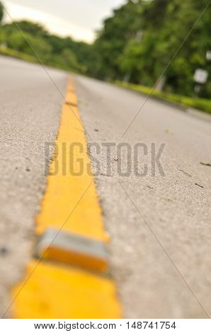 road yellow line asphalt and big trees on the walkway