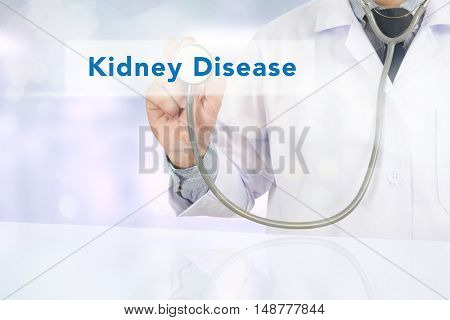 Medicine doctor hand working Kidney Disease doctor work to touch hand