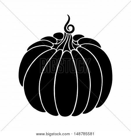 Decorative pumpkin. Harvest Thanksgiving illustration. Isolated vector image.