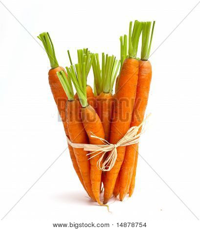 tied fresh carrots