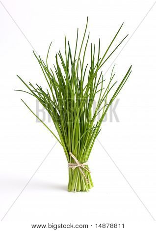 fresh chives