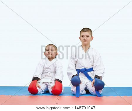 Brothers athletes sitting on a mats in karate pose