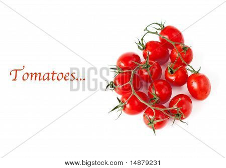 tomatoes and example text