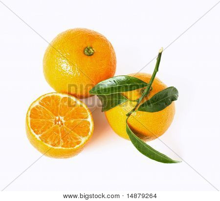mandarines