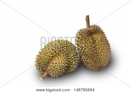 Durian is a fruit that is available in Thailand. Inside yellow delicious.