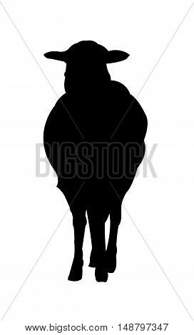 Sheep Silhouette on White Background. Isolated vector illustration animal theme.