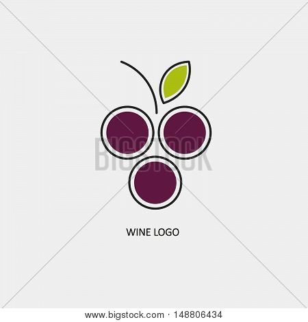 purple bunch of grapes. vine. vector illustration
