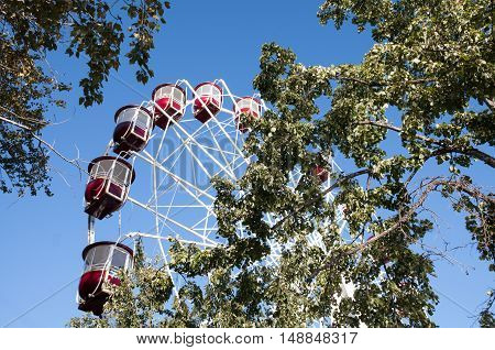 City Ferris wheel on a background of blue sky tree