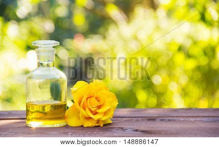 Essential rose oil. Fragrant yellow rose. Aromatherapy and massage. The magic elixir for body and hair. Natural cosmetic. Natural green background. Green blur. Copy space. Spa concept.