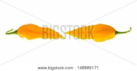 Two Ripe Fresh Fatalii Yellow Chili Hot Pepper