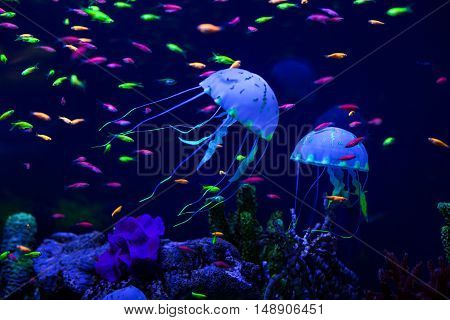 Multi-colored small fish and jellyfish on the sea bottom.